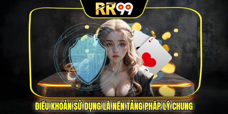 Điều khoản sử dụng là nền tảng pháp lý chung 